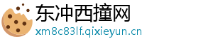 东冲西撞网
